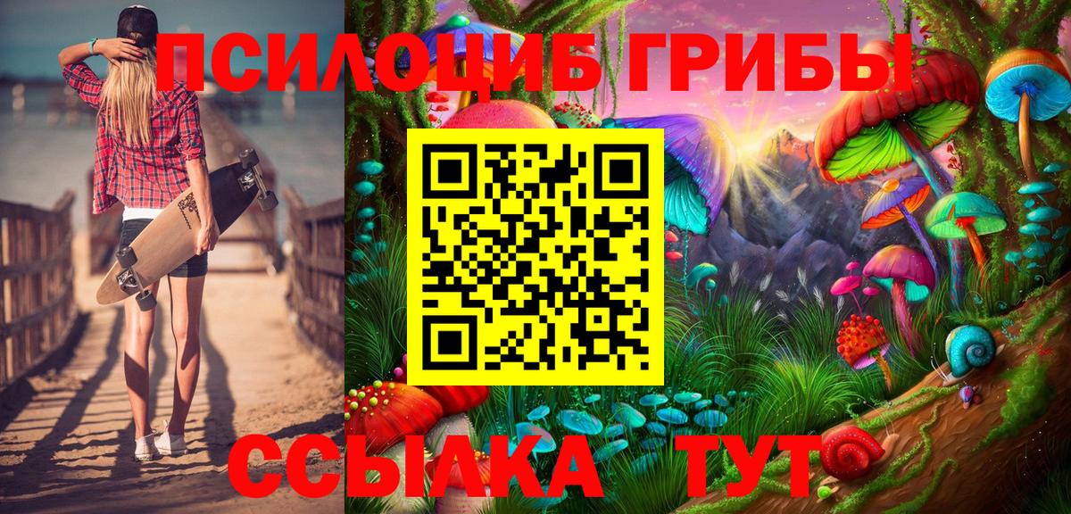 Галлюциногенные грибы Psilocybine cubensis Волхов