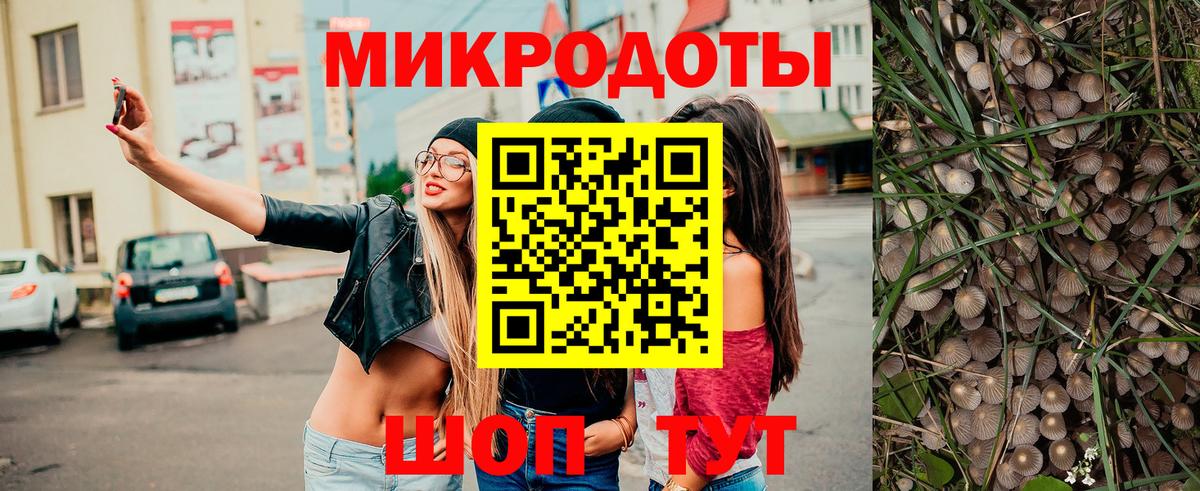 Псилоцибиновые грибы прущие грибы  Вход с VPN  Волхов 